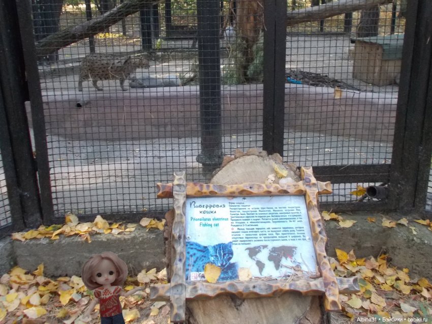 Два зоопарка... Новосибирский (окончание)