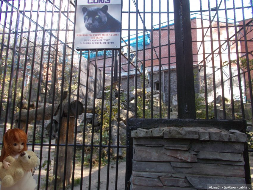 Два зоопарка... Новосибирский (окончание)