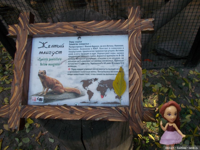 Два зоопарка... Новосибирский (окончание)