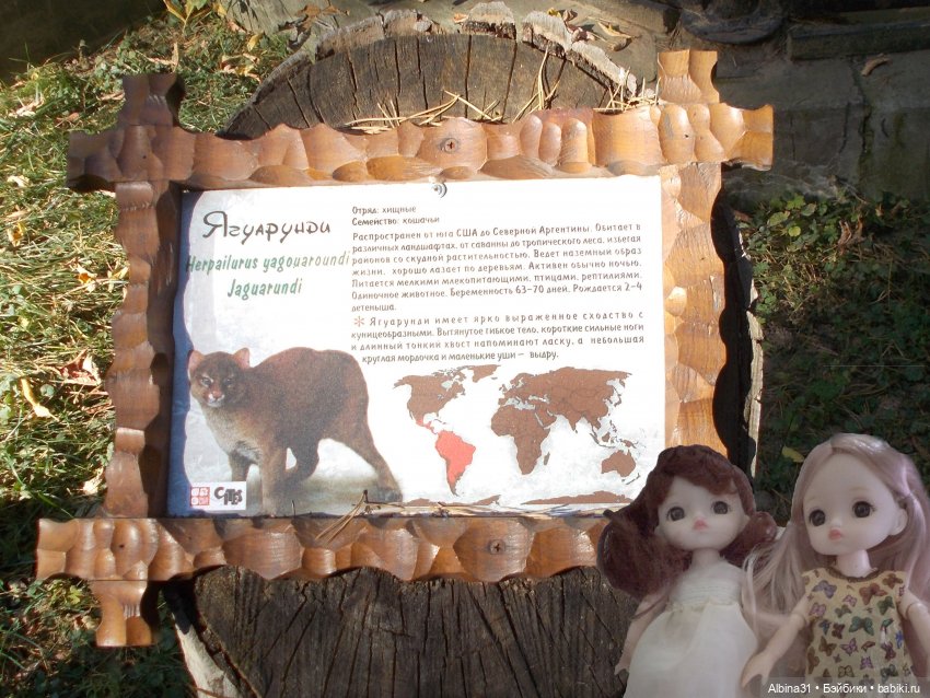 Два зоопарка... Новосибирский (окончание)