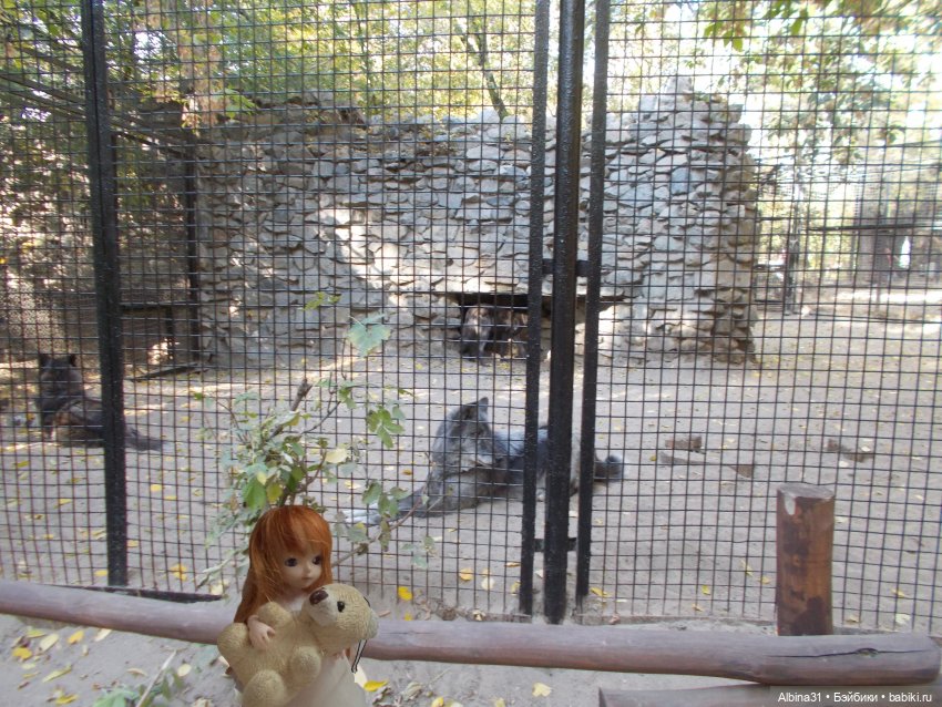 Два зоопарка... Новосибирский (окончание)