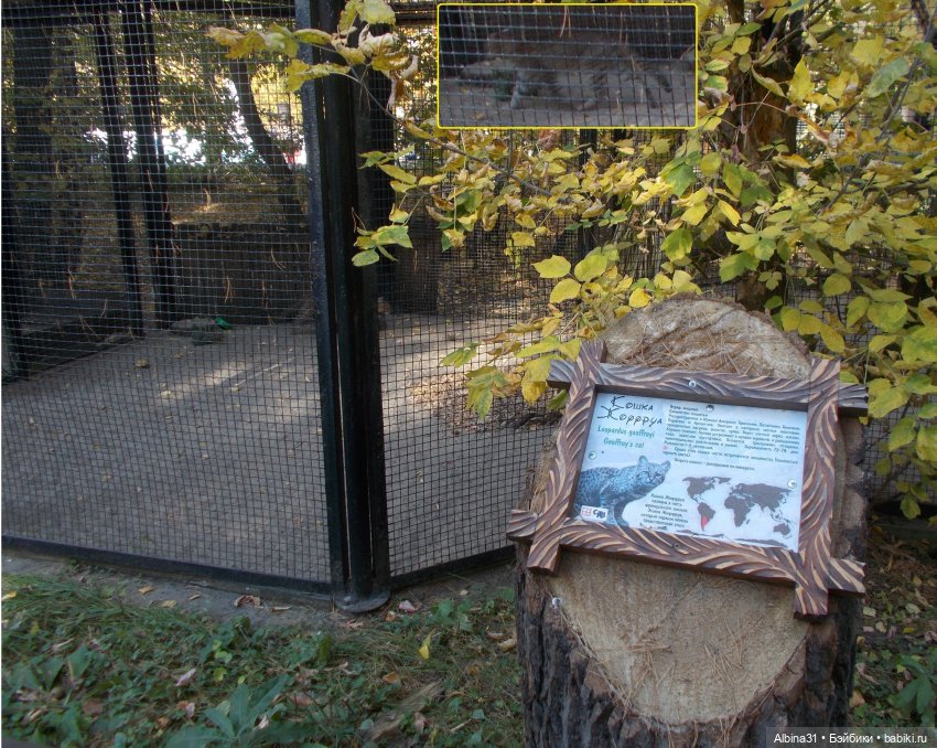 Два зоопарка... Новосибирский (окончание)