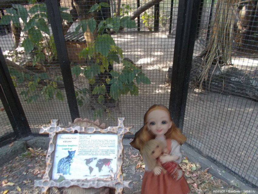 Два зоопарка... Новосибирский (окончание)