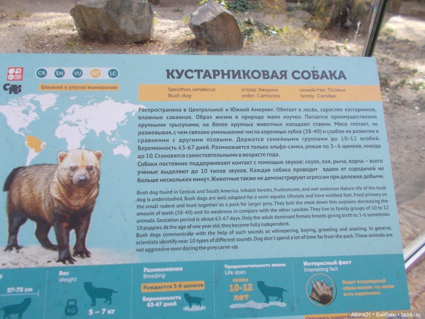 Два зоопарка... Новосибирский (окончание)