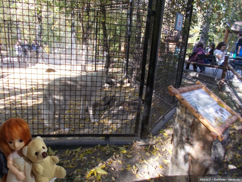 Два зоопарка... Новосибирский (окончание)
