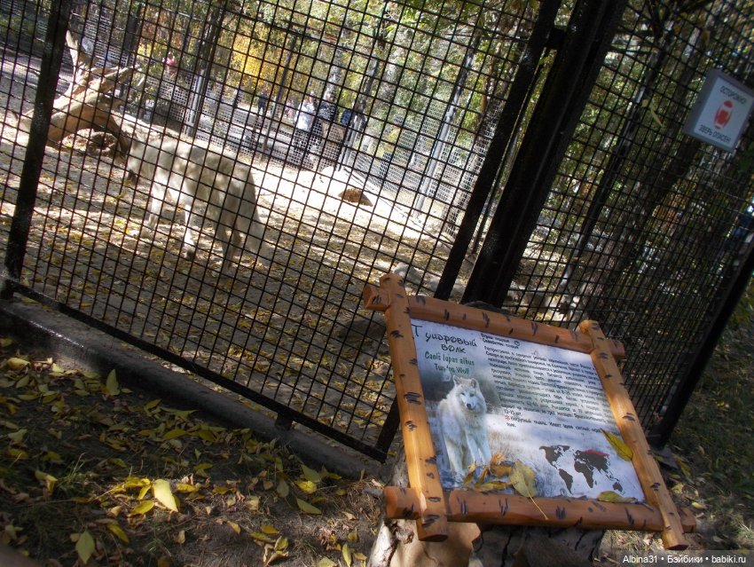 Два зоопарка... Новосибирский (окончание)