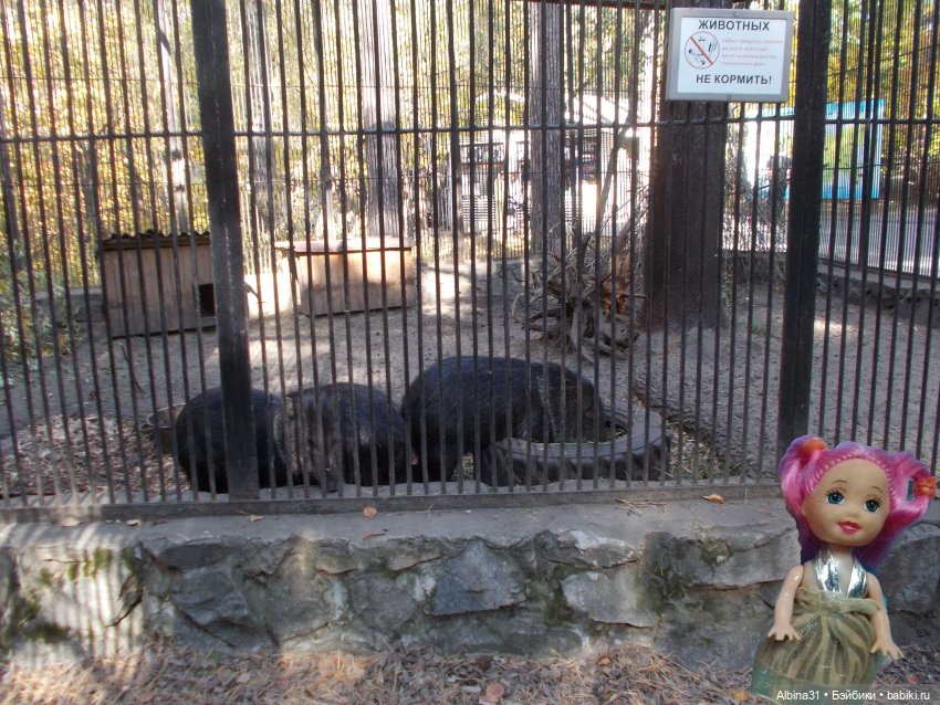 Два зоопарка... Новосибирский (окончание)
