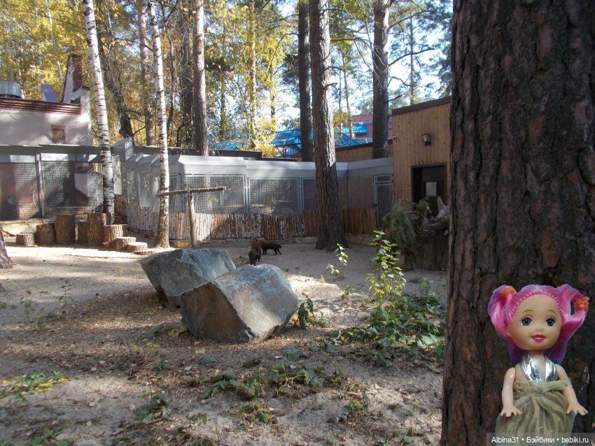 Два зоопарка... Новосибирский (окончание)