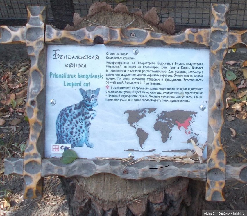 Два зоопарка... Новосибирский (окончание)