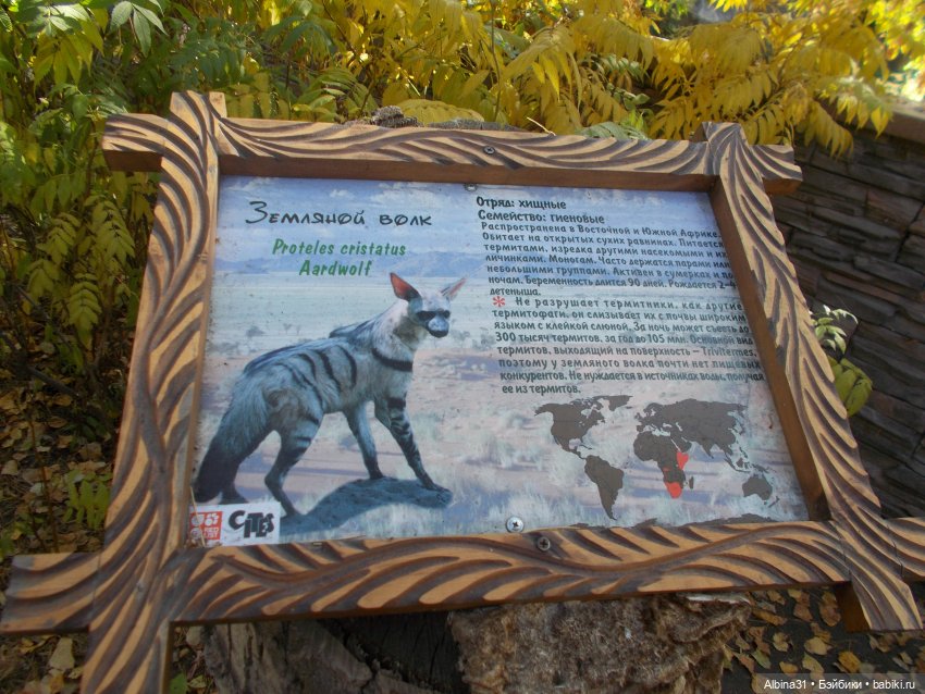 Два зоопарка... Новосибирский (окончание)