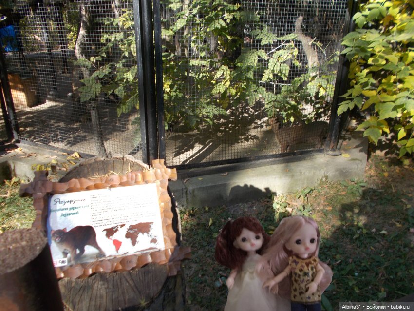 Два зоопарка... Новосибирский (окончание)