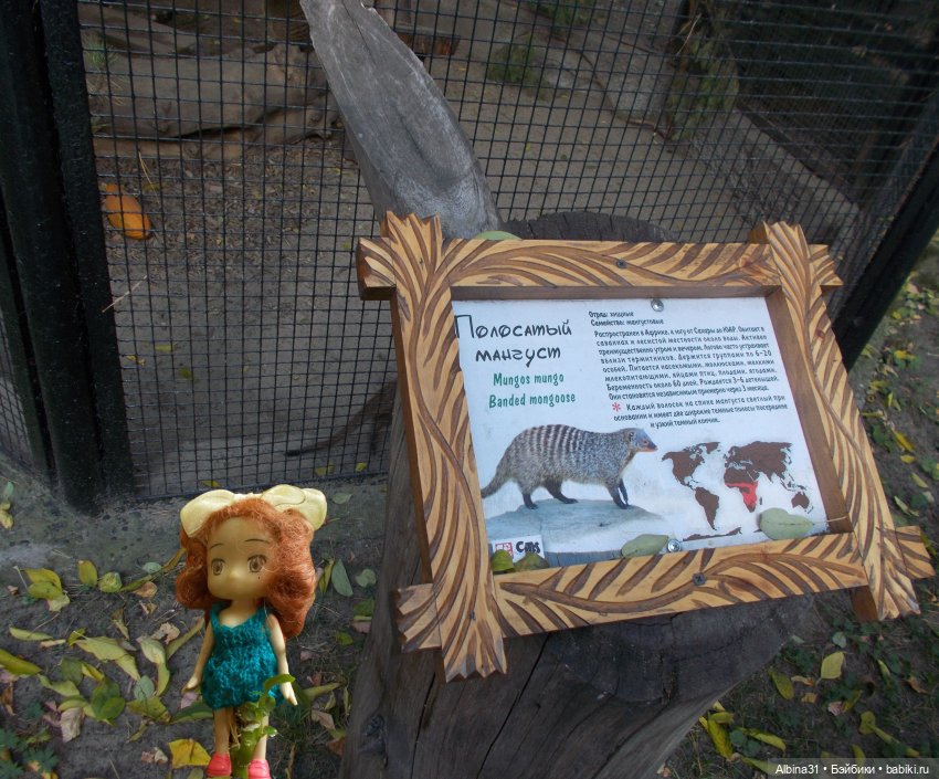 Два зоопарка... Новосибирский (окончание)