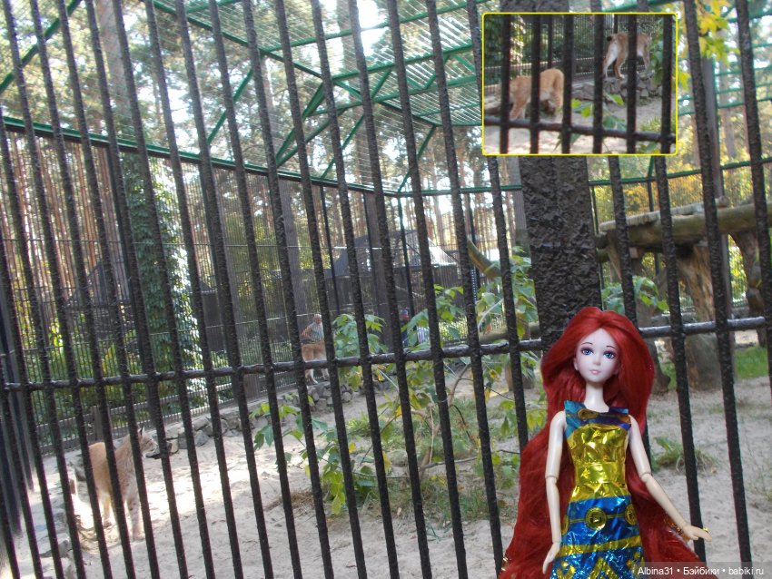 Два зоопарка... Новосибирский (окончание)