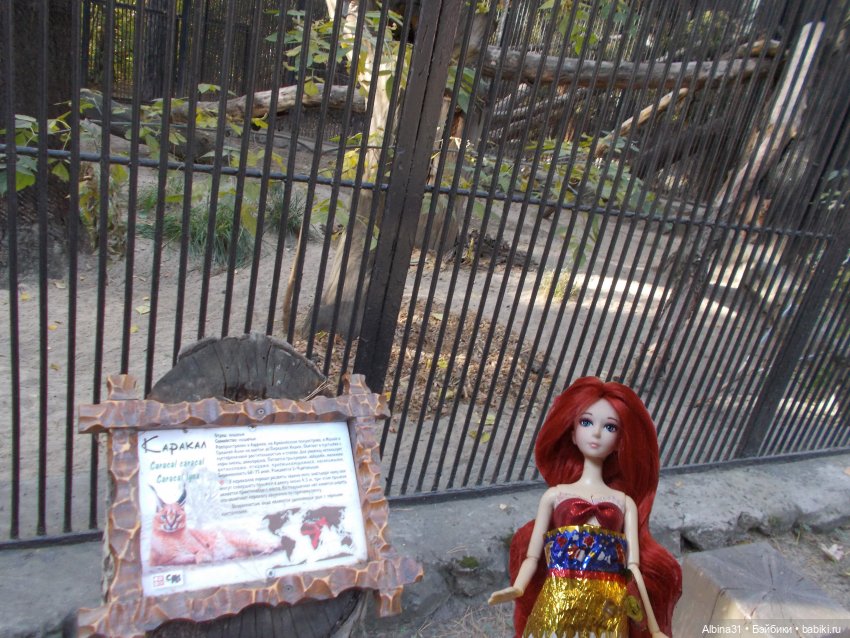 Два зоопарка... Новосибирский (окончание)