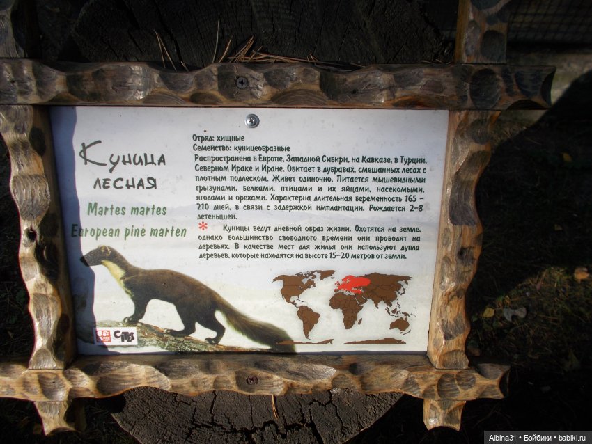 Два зоопарка... Новосибирский (окончание)