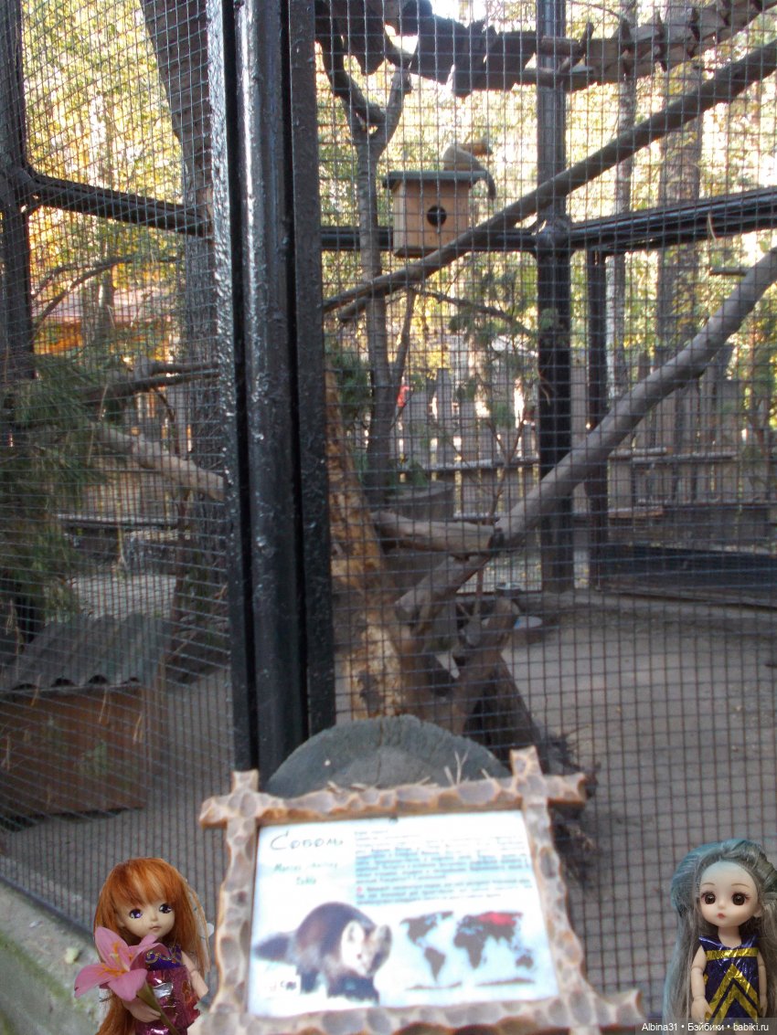 Два зоопарка... Новосибирский (окончание)