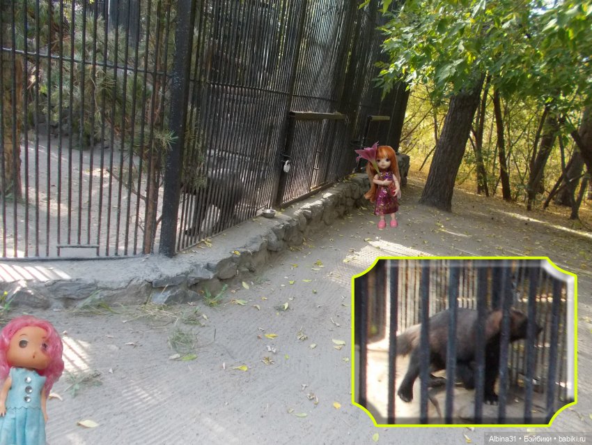 Два зоопарка... Новосибирский (окончание)