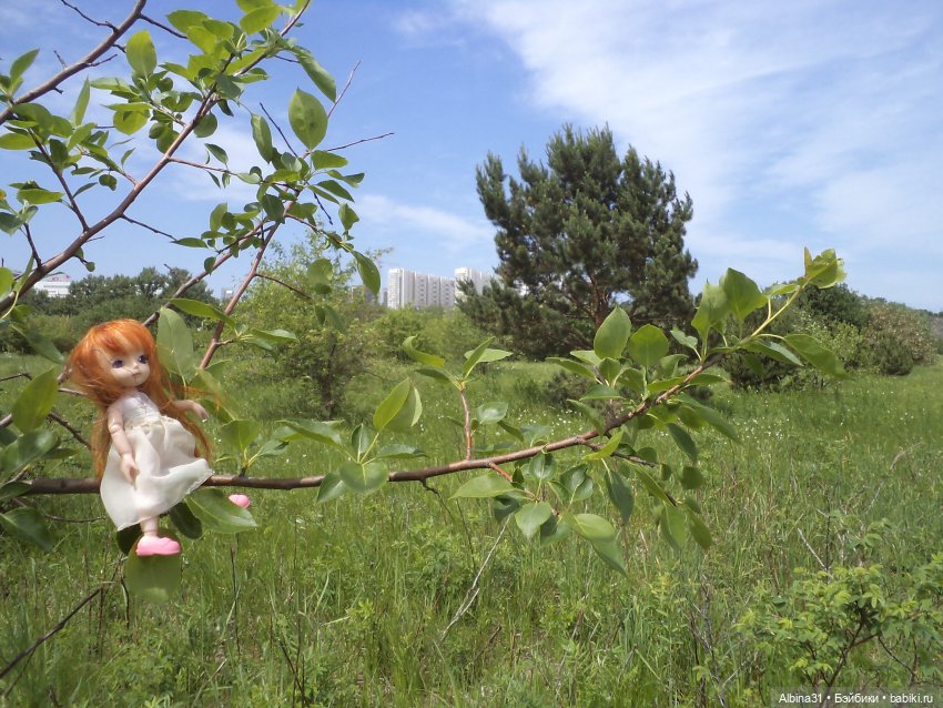 Прогулка по острову Татышев июнь 2023