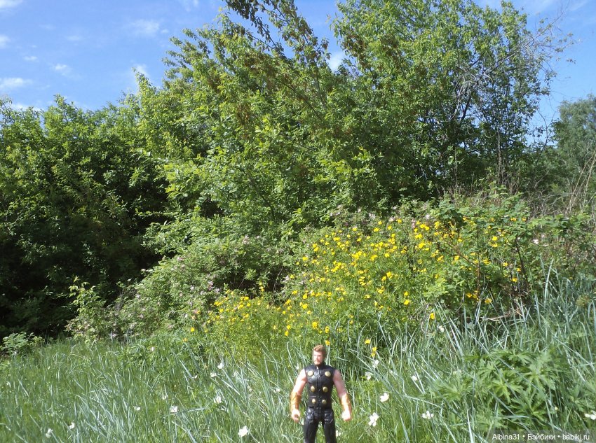 Прогулка по острову Татышев июнь 2023