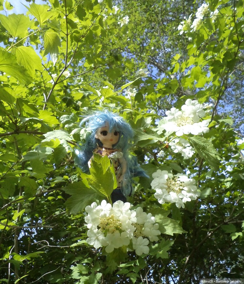 Прогулка по острову Татышев июнь 2023