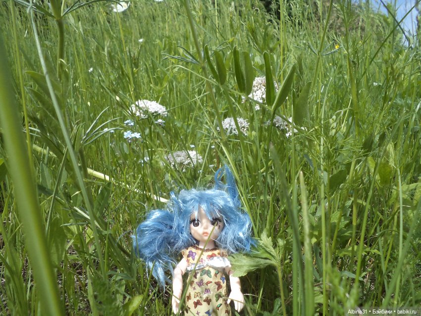 Прогулка по острову Татышев июнь 2023