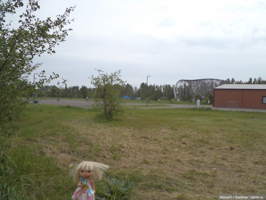 Прогулка по острову Татышев июнь 2023 (фото 6)