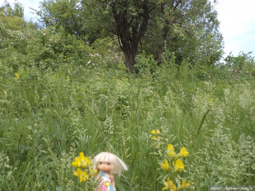 Прогулка по острову Татышев июнь 2023