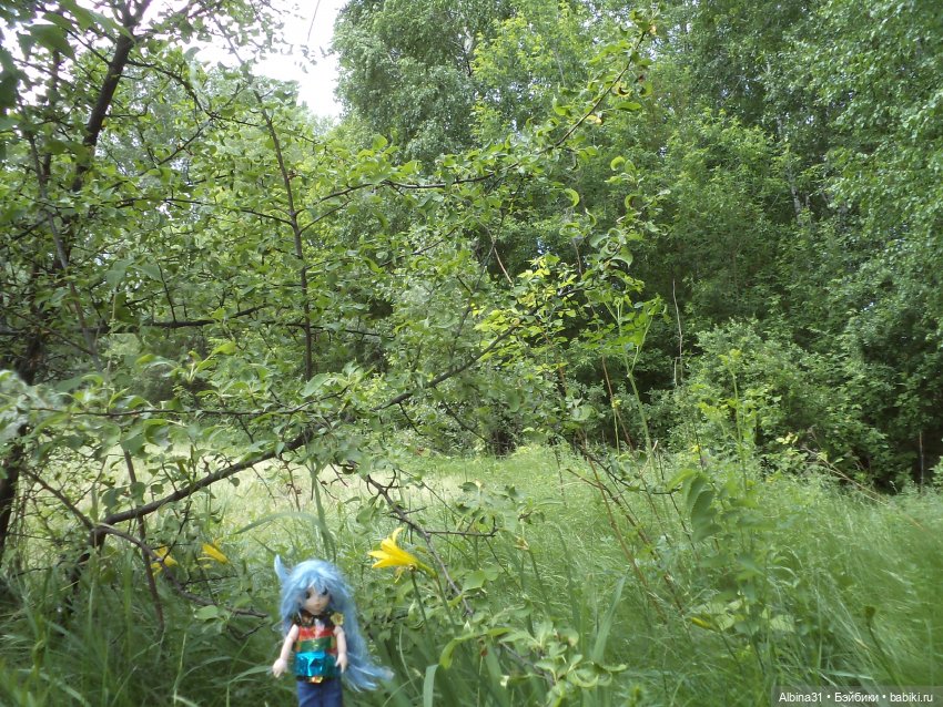 Прогулка по острову Татышев июнь 2023 (фото 5)