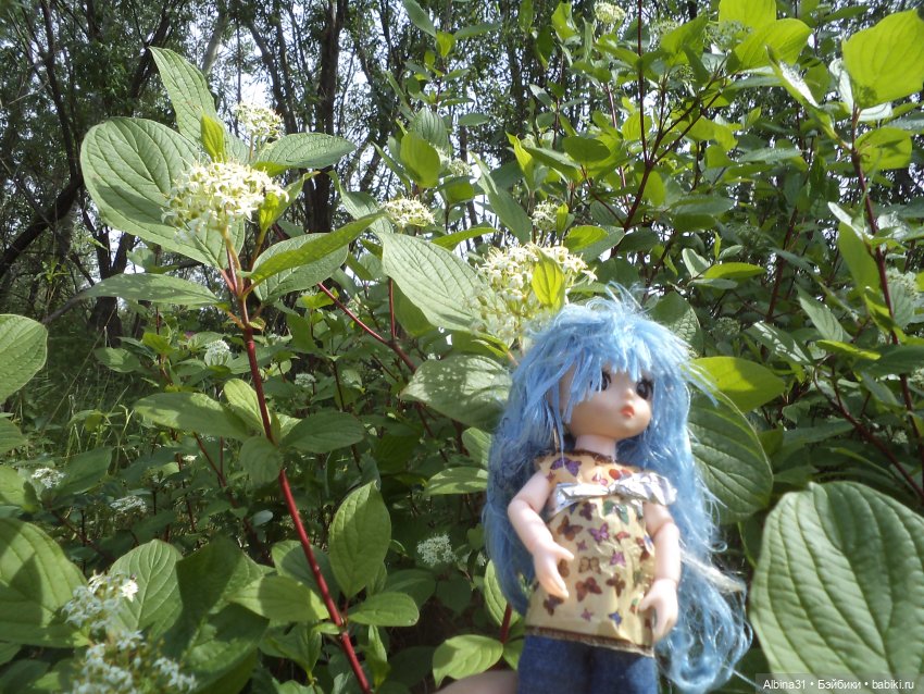 Прогулка по острову Татышев июнь 2023