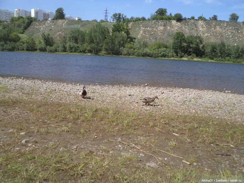 Прогулка по острову Татышев июнь 2023