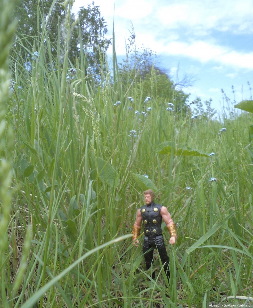 Прогулка по острову Татышев июнь 2023