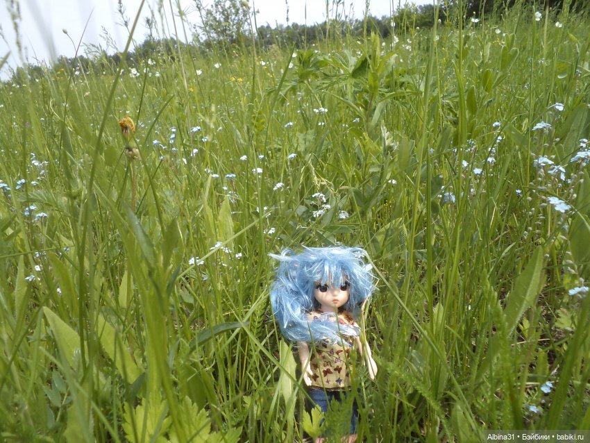 Прогулка по острову Татышев июнь 2023