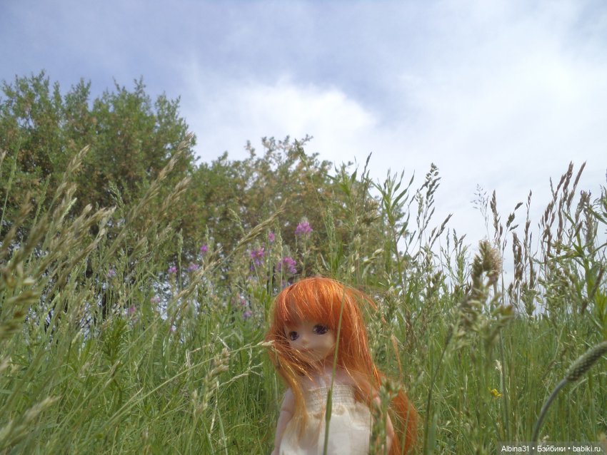 Прогулка по острову Татышев июнь 2023