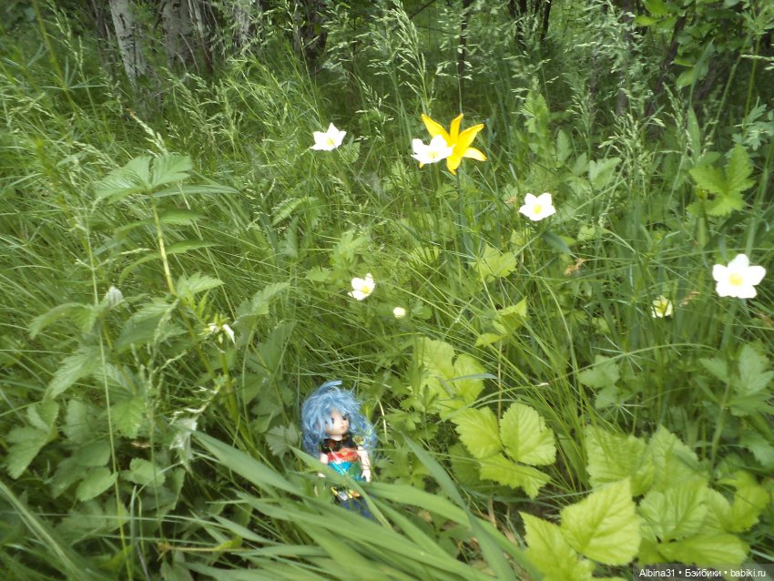 Прогулка по острову Татышев июнь 2023 (фото 4)