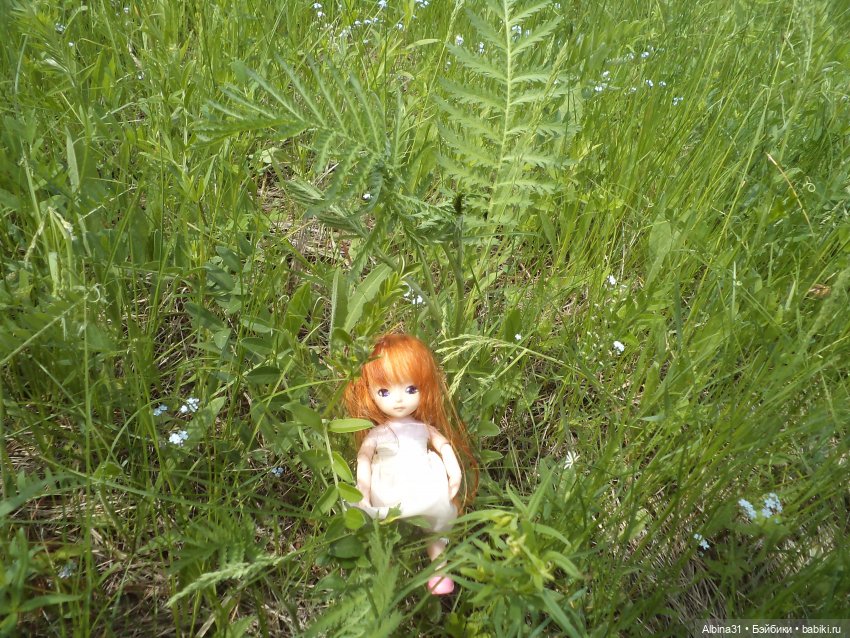 Прогулка по острову Татышев июнь 2023