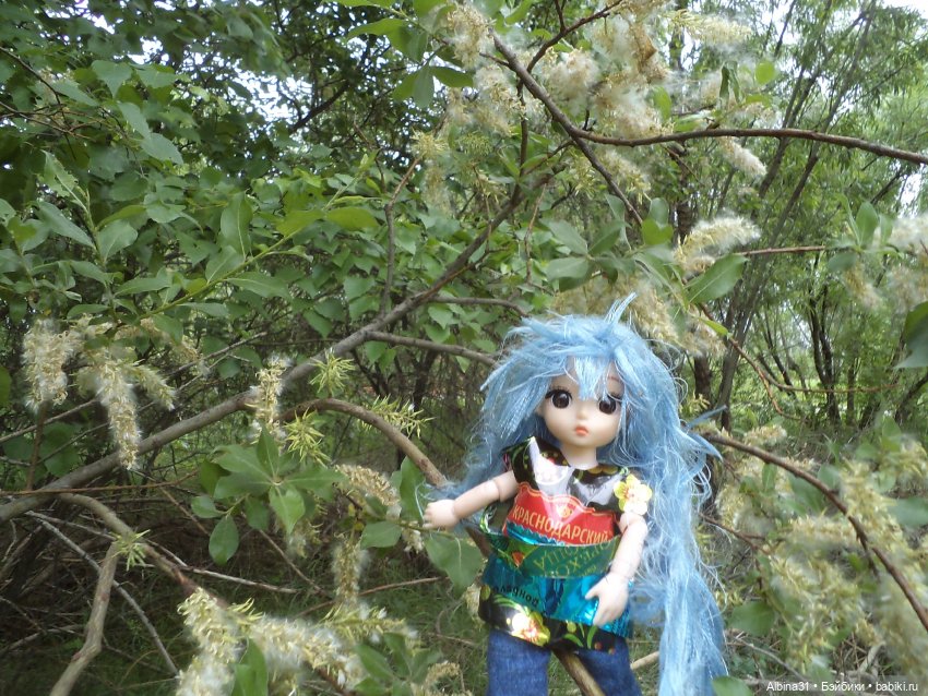 Прогулка по острову Татышев июнь 2023 (фото 3)