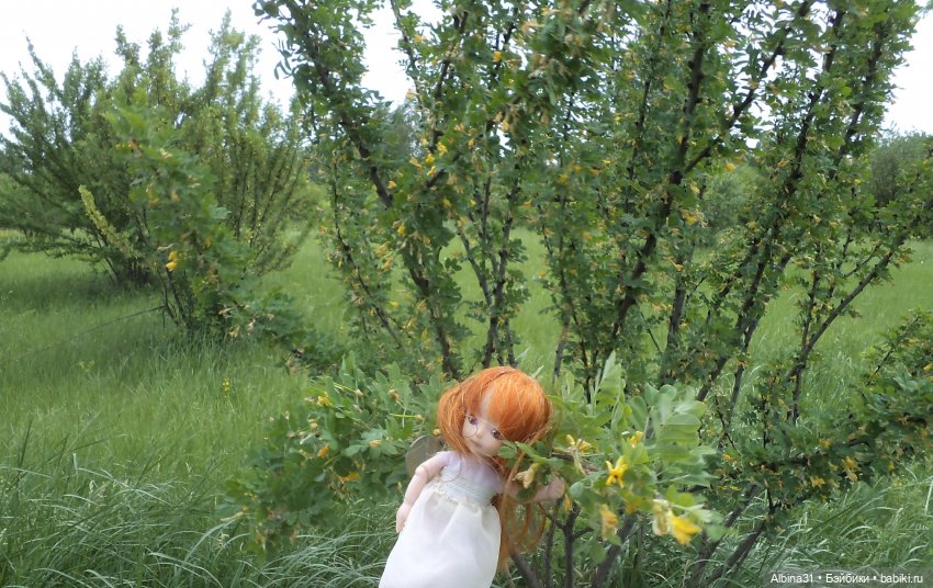 Прогулка по острову Татышев июнь 2023