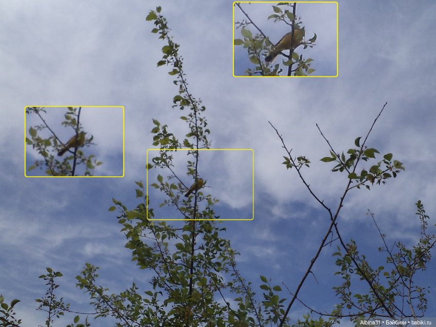 Прогулка по острову Татышев июнь 2023