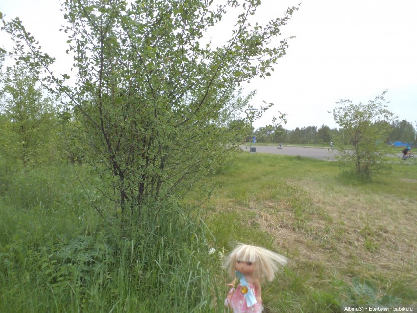 Прогулка по острову Татышев июнь 2023 (фото 7)