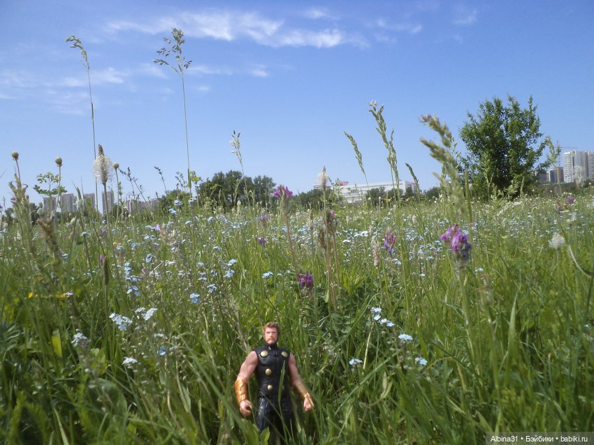 Прогулка по острову Татышев июнь 2023