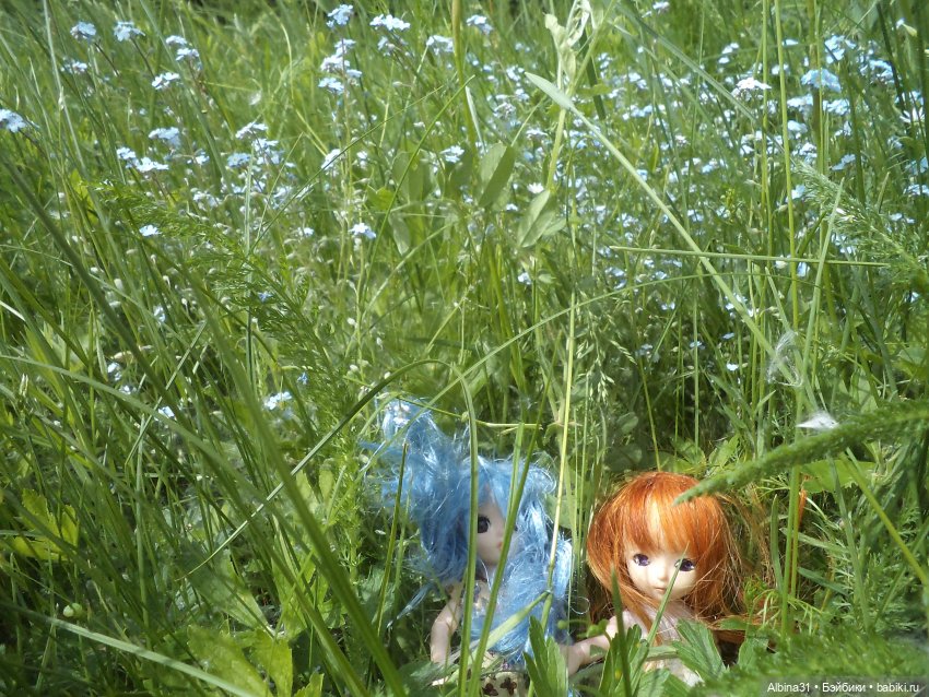 Прогулка по острову Татышев июнь 2023