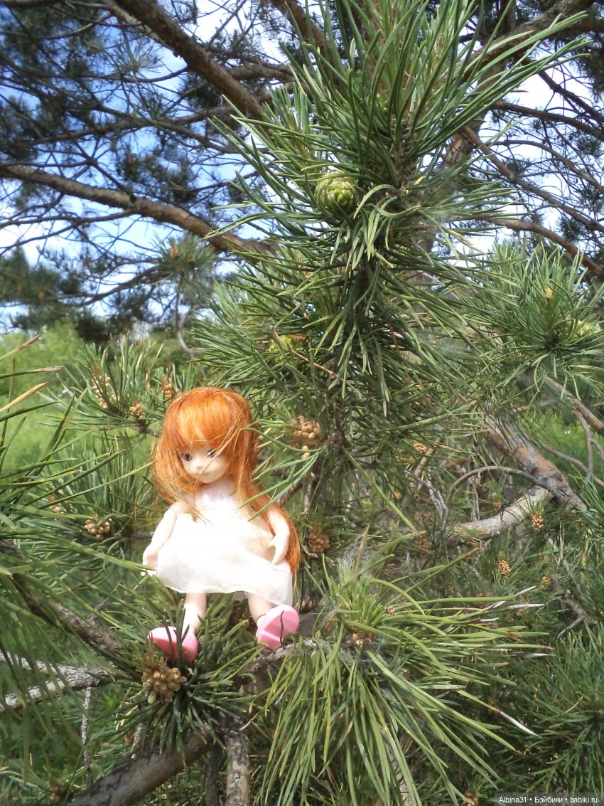 Прогулка по острову Татышев июнь 2023