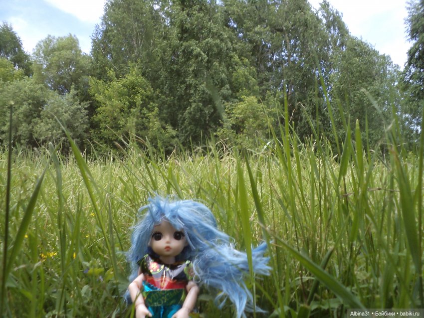 Прогулка по острову Татышев июнь 2023