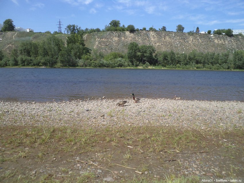 Прогулка по острову Татышев июнь 2023