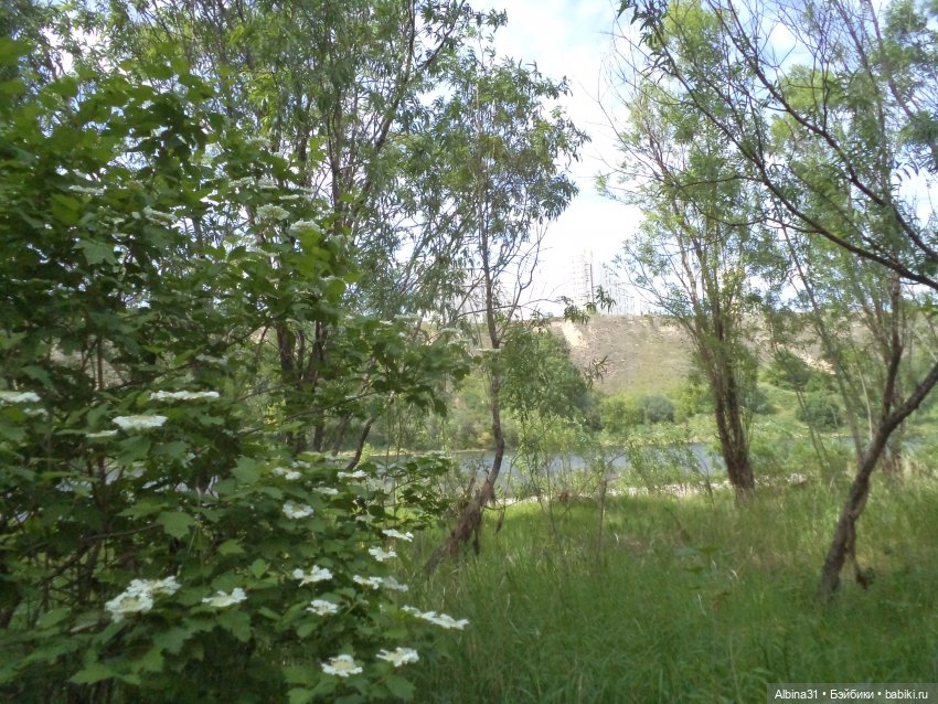 Прогулка по острову Татышев июнь 2023