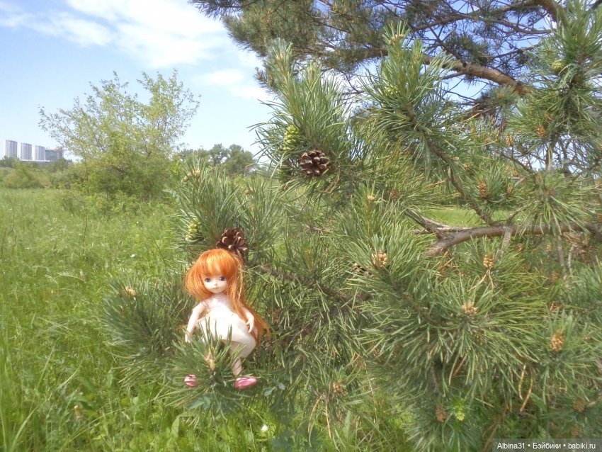 Прогулка по острову Татышев июнь 2023