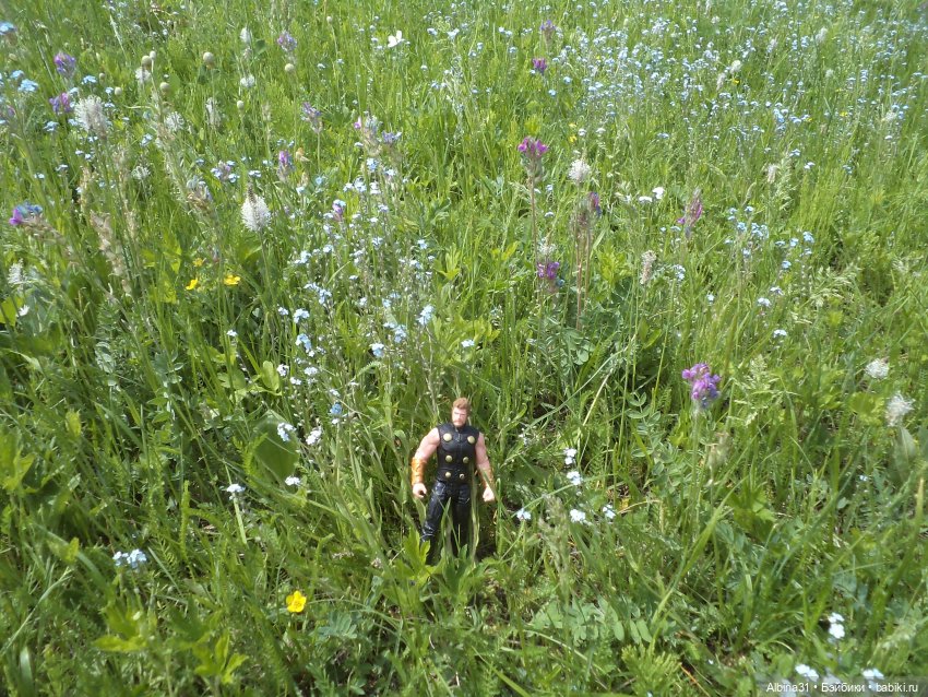 Прогулка по острову Татышев июнь 2023