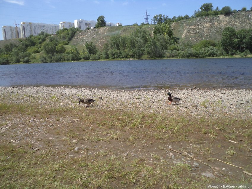 Прогулка по острову Татышев июнь 2023