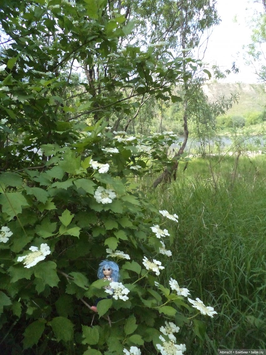 Прогулка по острову Татышев июнь 2023