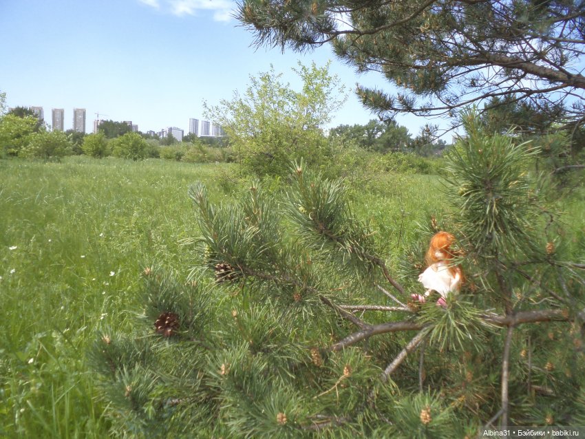 Прогулка по острову Татышев июнь 2023